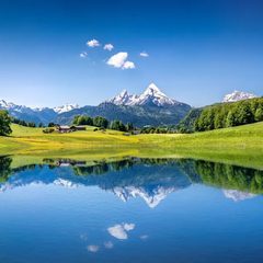 Ein Alpensee spiegelt die Wiese