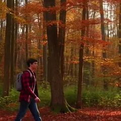 Eine wandernde Person im roten Herbstwald