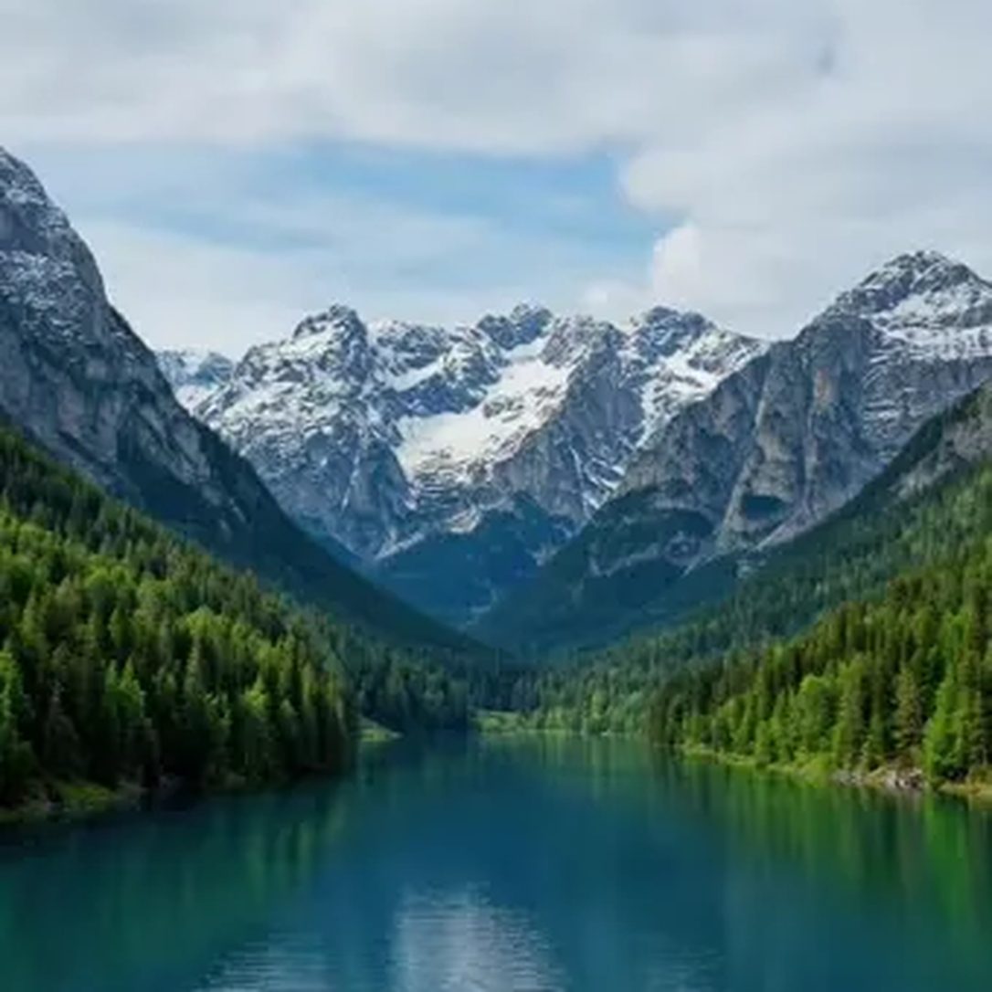Türkiser Bergsee zwischen bewaldeten Gipfeln