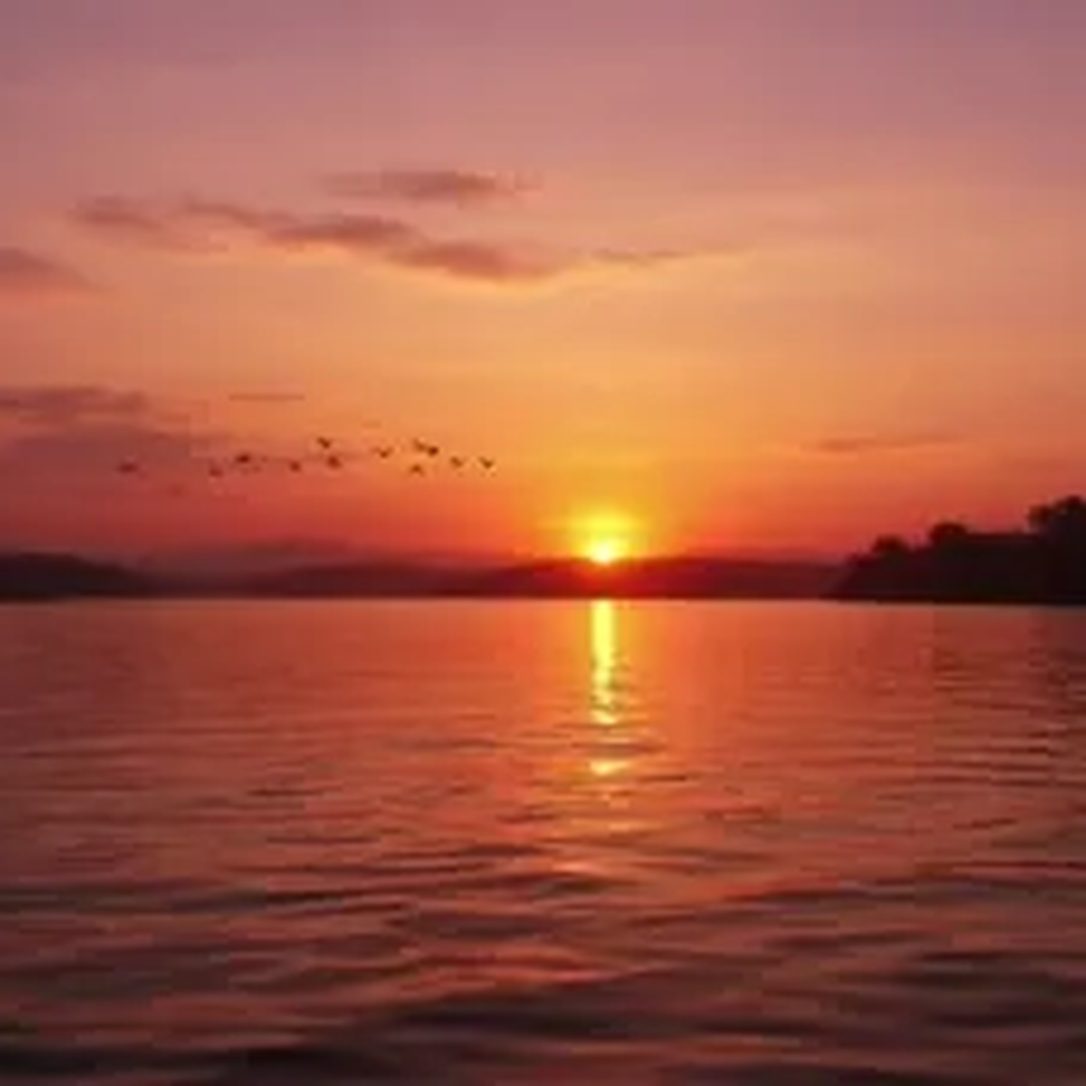Sonnenuntergang über einem See mit Vogelzug